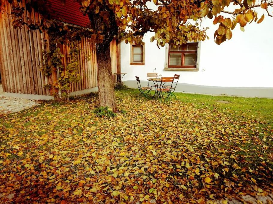Humberg 5Sterne Ferienwohnung Im Fachwerk Mit Bergblick In Alleinlage Und Grossem Garten, Infrarotkabine מראה חיצוני תמונה